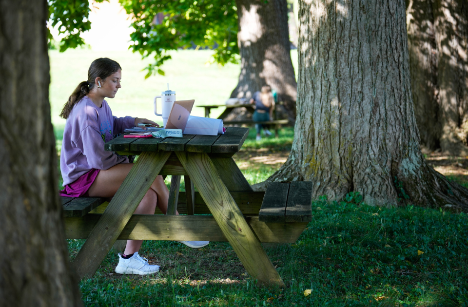 A student studying at a picnic table.